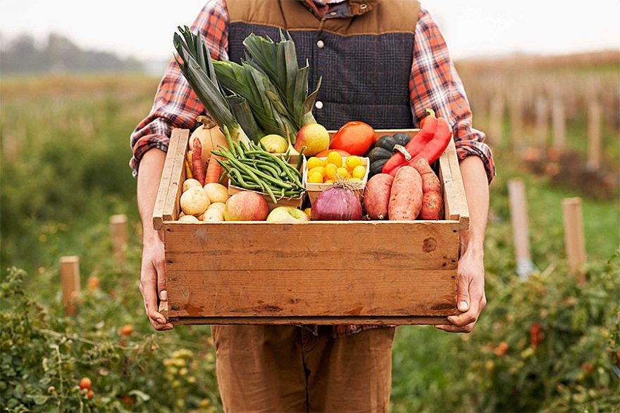 Картинки фермерская продукция