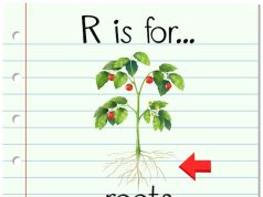 root mean square что это и как рассчитать