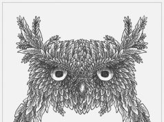 панно сова крючком мастер-класс и схемы