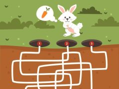 куда добавляют псиллиум в кулинарии и выпечке