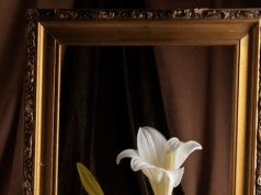 правосудие таро и здоровье раскрытие тайн