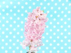 Поздравьте Марианну с днем рождения