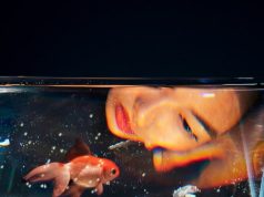 Кормить рыб во сне: толкование сна