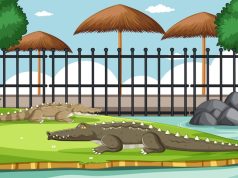 Идеи для игры в крокодил