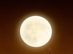 Луна в Козероге по Джйотиш: влияние на женщин